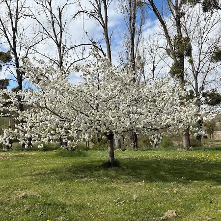 De Layarde * Mauvezin-sur-Gupie